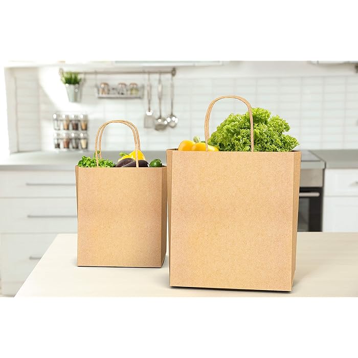 Brown Paper Bags with Handles - 250 pcs/box