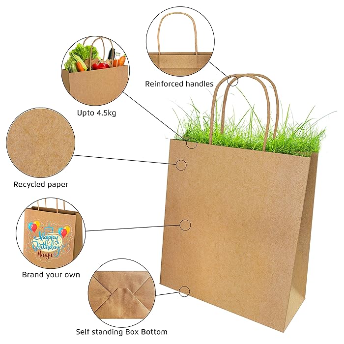 Brown Paper Bags with Handles - 250 pcs/box